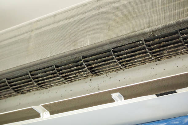 Best Duct Cleaning for Offices  in Northwood, OH